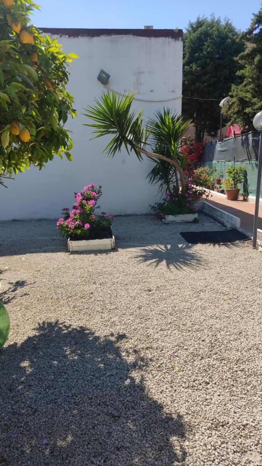 Garden Green Da Virna Torre Annunziata Eksteriør billede