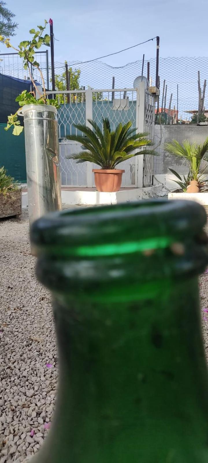 Garden Green Da Virna Torre Annunziata Eksteriør billede