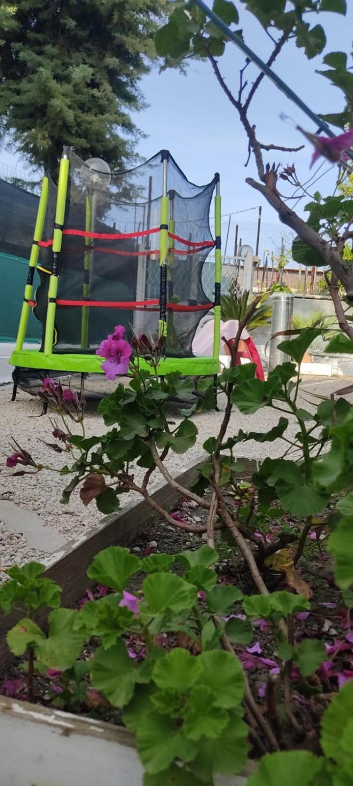 Garden Green Da Virna Torre Annunziata Eksteriør billede