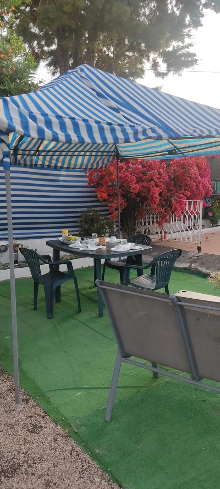 Garden Green Da Virna Torre Annunziata Eksteriør billede