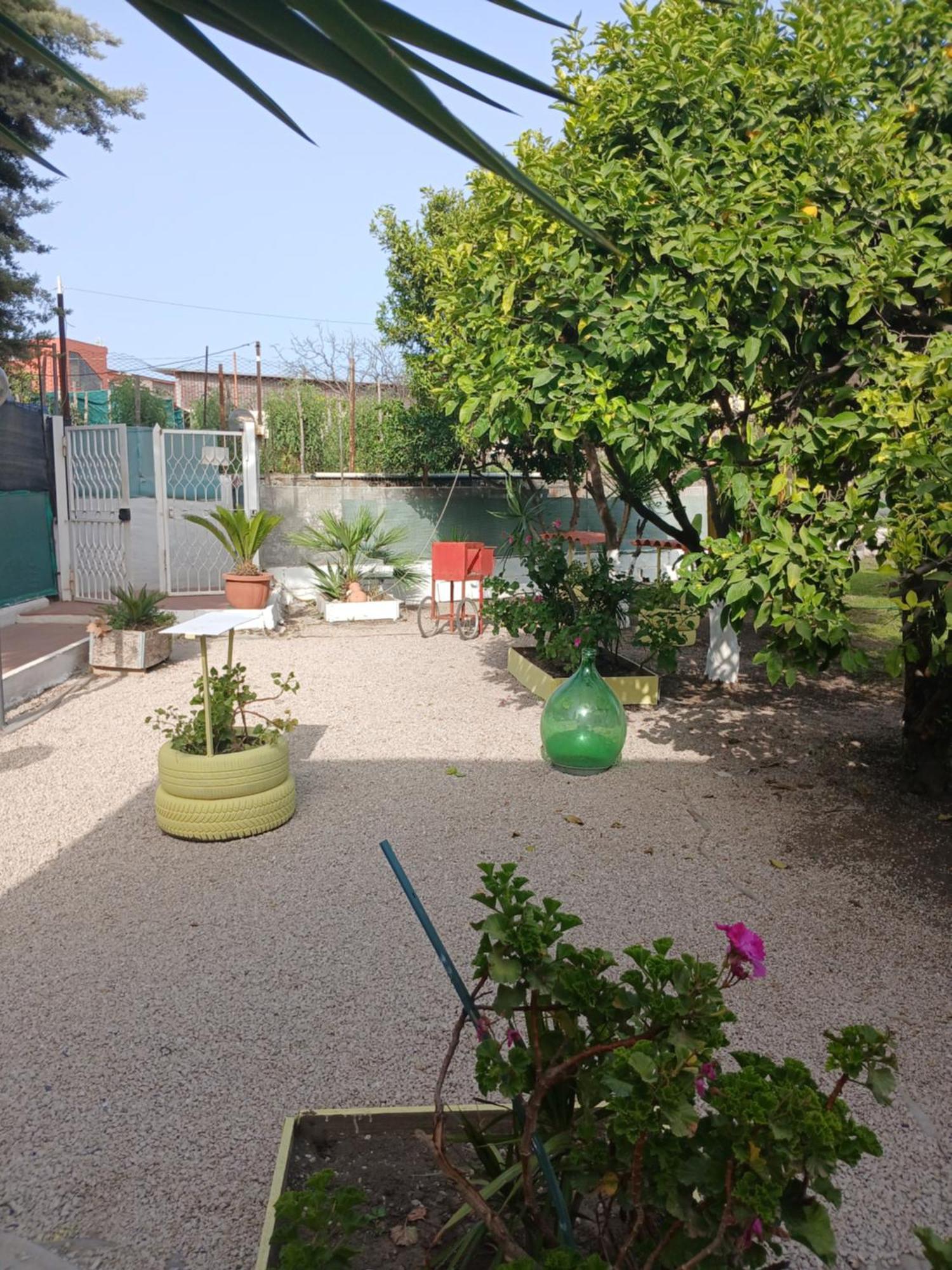 Garden Green Da Virna Torre Annunziata Eksteriør billede